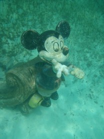 Snorkeling at Disney's Castaway Cay