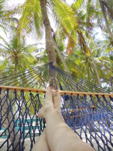 Top 10 Photo Opportunities on Disney's Castaway Cay 