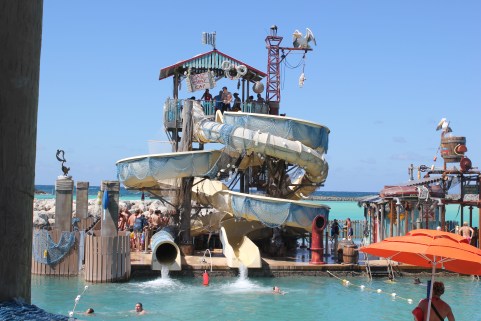 Top 10 Photo Opportunities on Disney's Castaway Cay  -  Pelicans Plung
