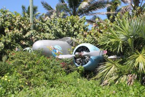 Top 10 Photo Opportunities on Disney's Castaway Cay 