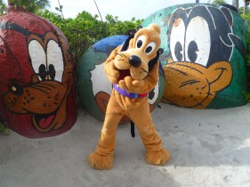 Top 10 Photo Opportunities on Disney's Castaway Cay - Pluto