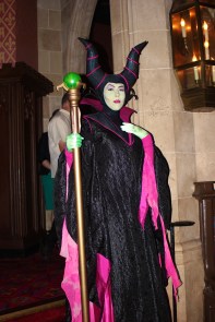 Villains' Sinister Soiree - Magic Kingdom 