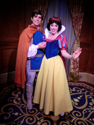 Mickey's Very Merry Christmas Party