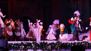 Celebrate the Season Castle Show at the Magic Kingdom