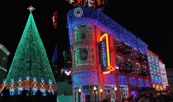 - Cody Woodbrey Specializing in Disney Vacations Creating Vacations with Character Cell: 435-757-0838 cody@wishuponastartwithcody.com 